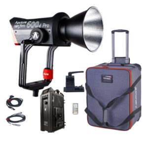 Aputure LS600 D Pro